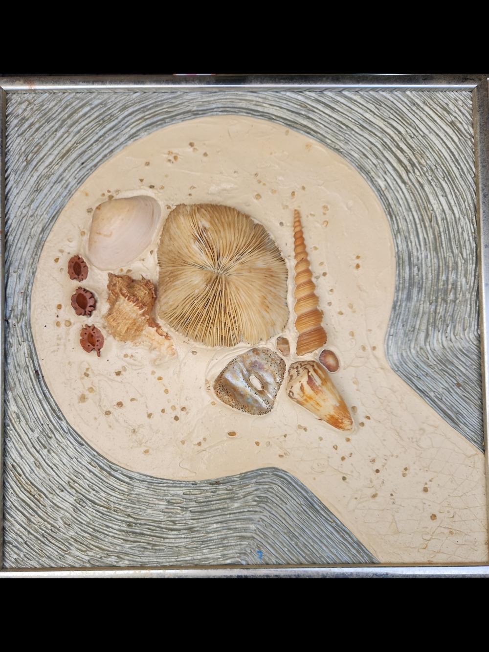 Coastal Shell Wall Art - Neutral Beach Accent